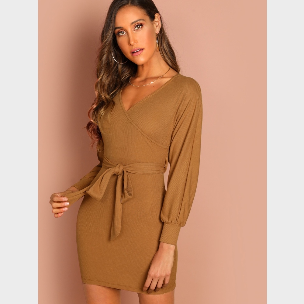 Camel V-Neck Self-Tie Belt Long Sleeve Mini Dress - Picture 6 of 7